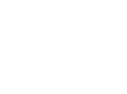 Changan NEVO